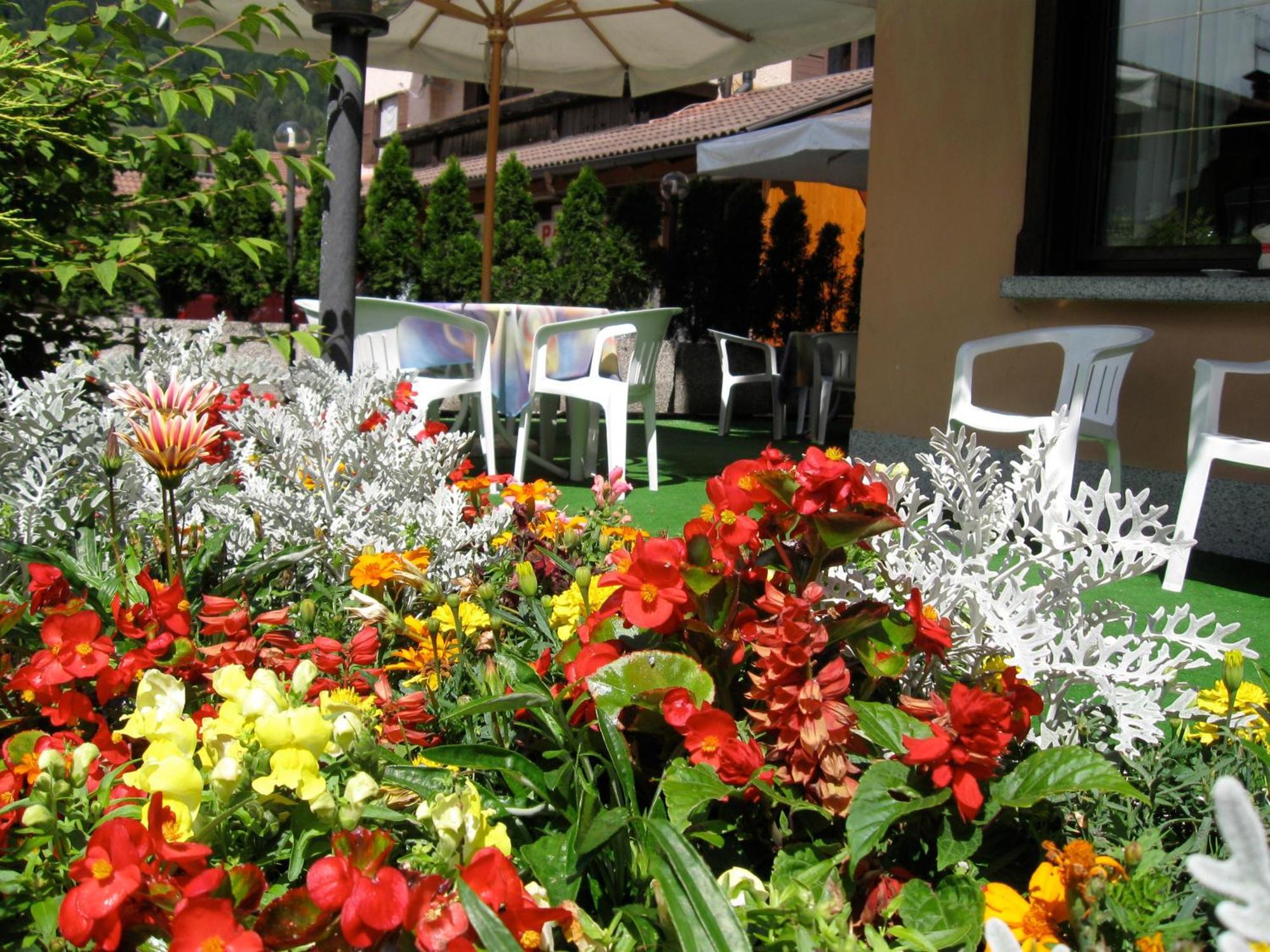 Hotel Binelli Pinzolo Bagian luar foto