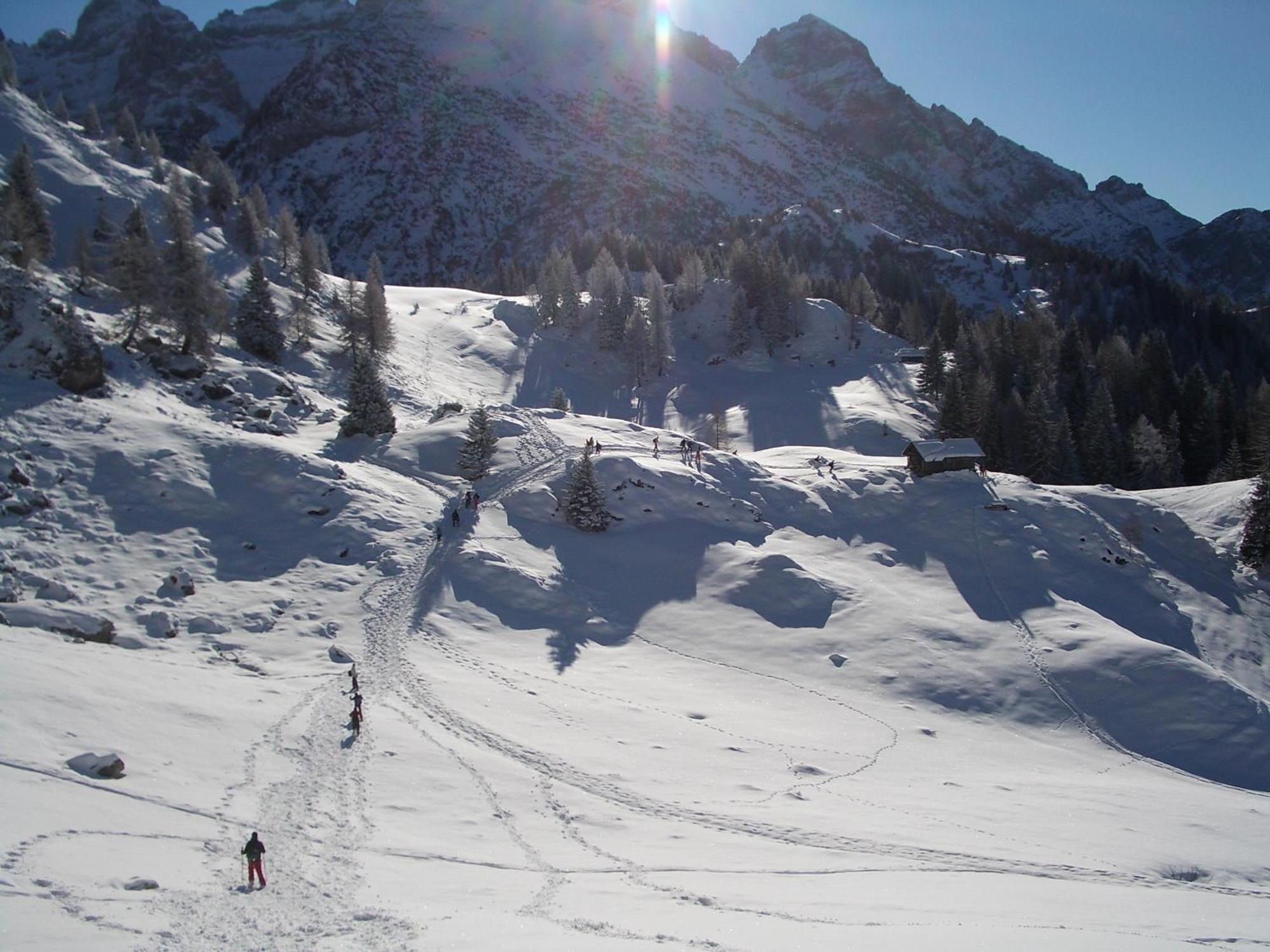 Hotel Binelli Pinzolo Bagian luar foto