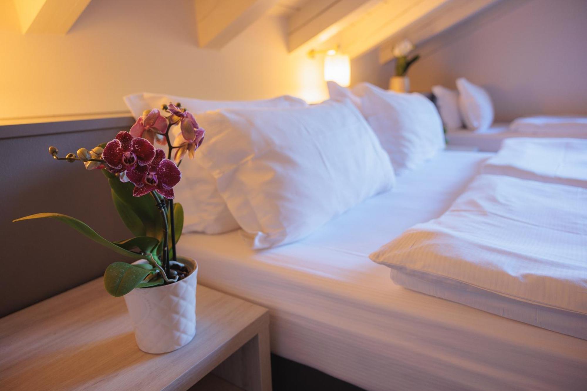 Hotel Binelli Pinzolo Bagian luar foto