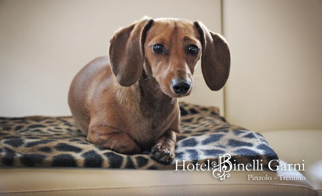 Hotel Binelli Pinzolo Bagian luar foto